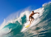 PG电子试玩-王权与锋芒，国王力克山东，杜兰特高光诠释现代篮球的统治力