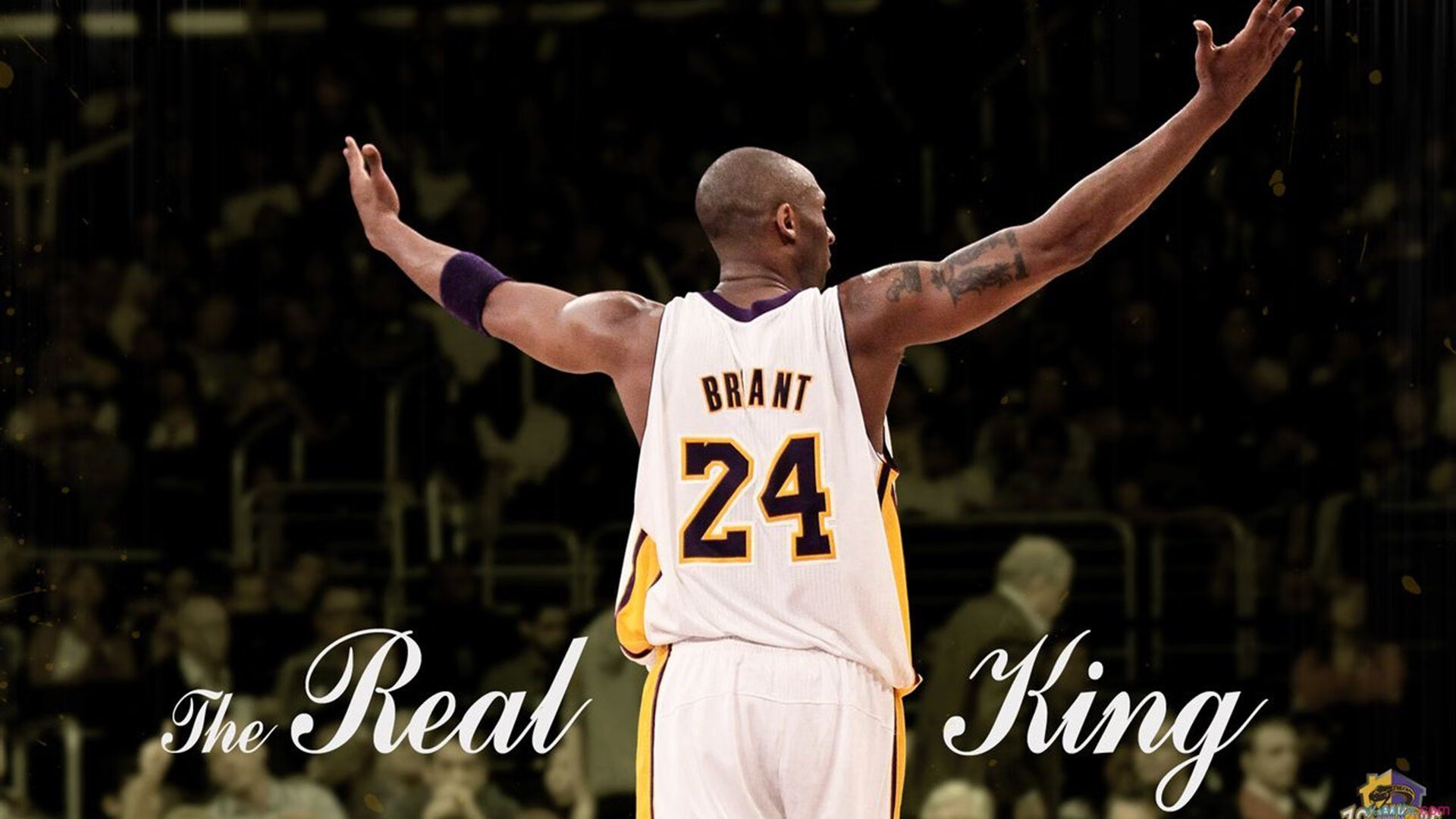 从文班亚马到山西队，压力下的爆发与团队碾压的艺术