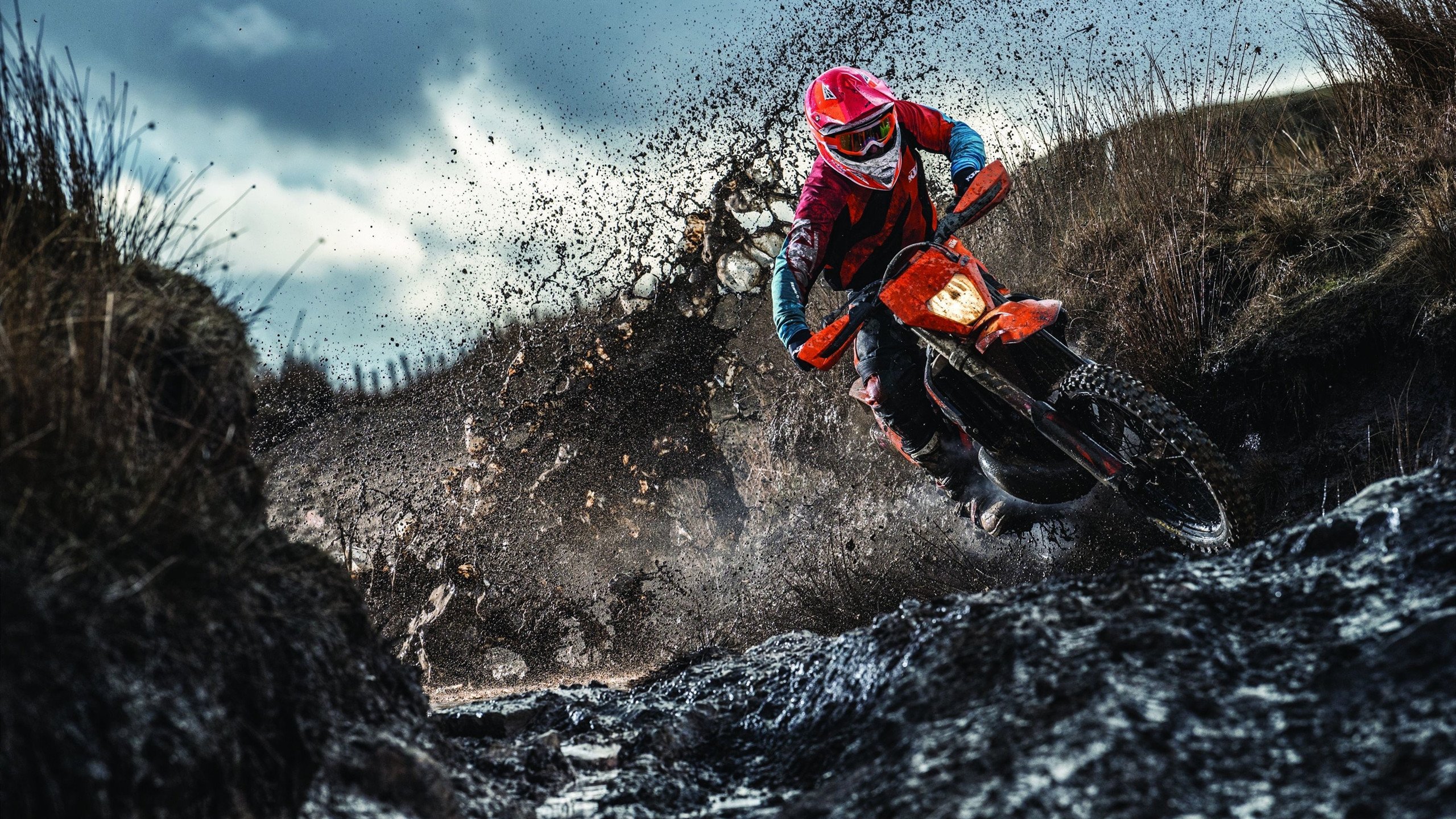 羽坛新章，印度队轻取韩国显崛起，陈雨菲惊艳四座定乾坤